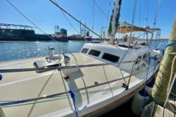 1980 Wellington 44 full